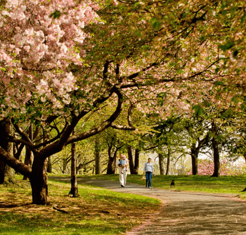 Branch Brook Park, Newark
