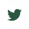Twitter / X